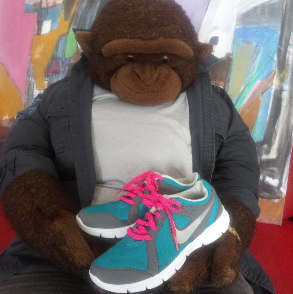 Nike Flex Experience